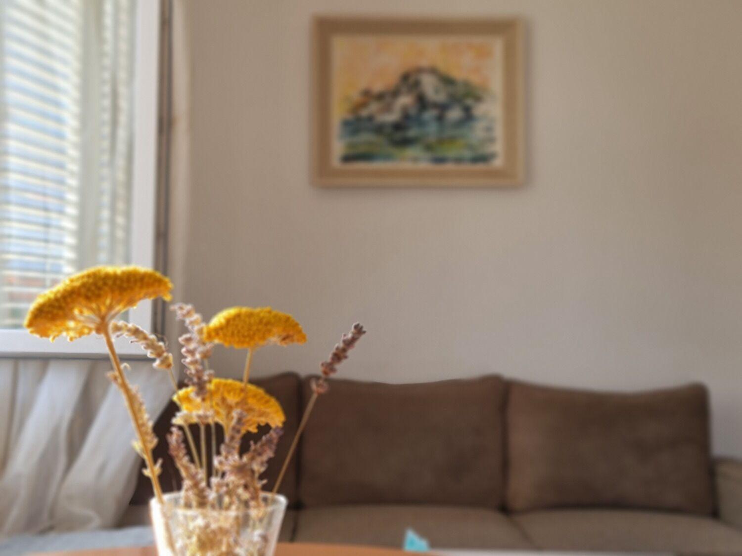 Apartments Dami - 100M From The Sea オレビック エクステリア 写真