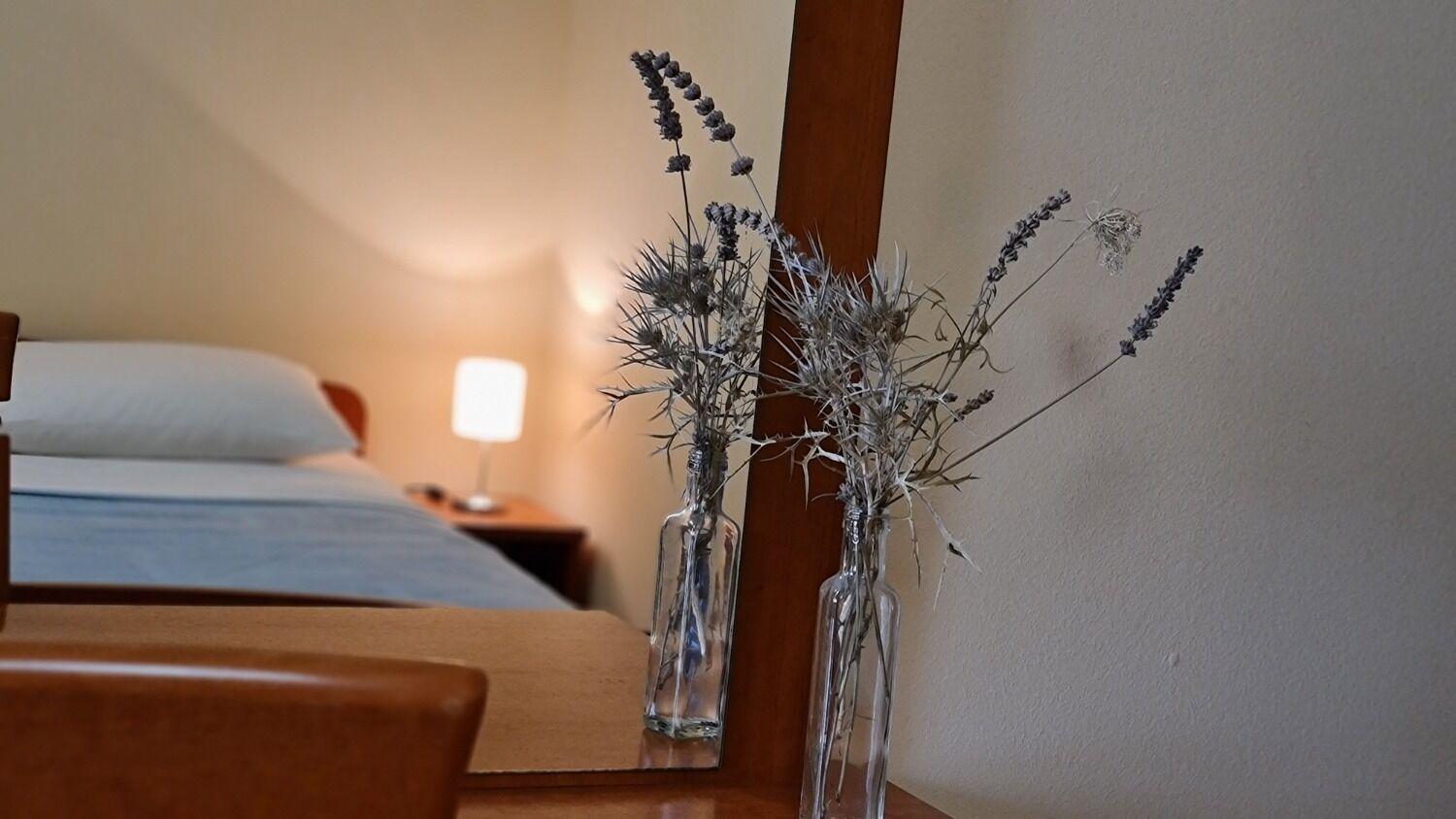 Apartments Dami - 100M From The Sea オレビック エクステリア 写真